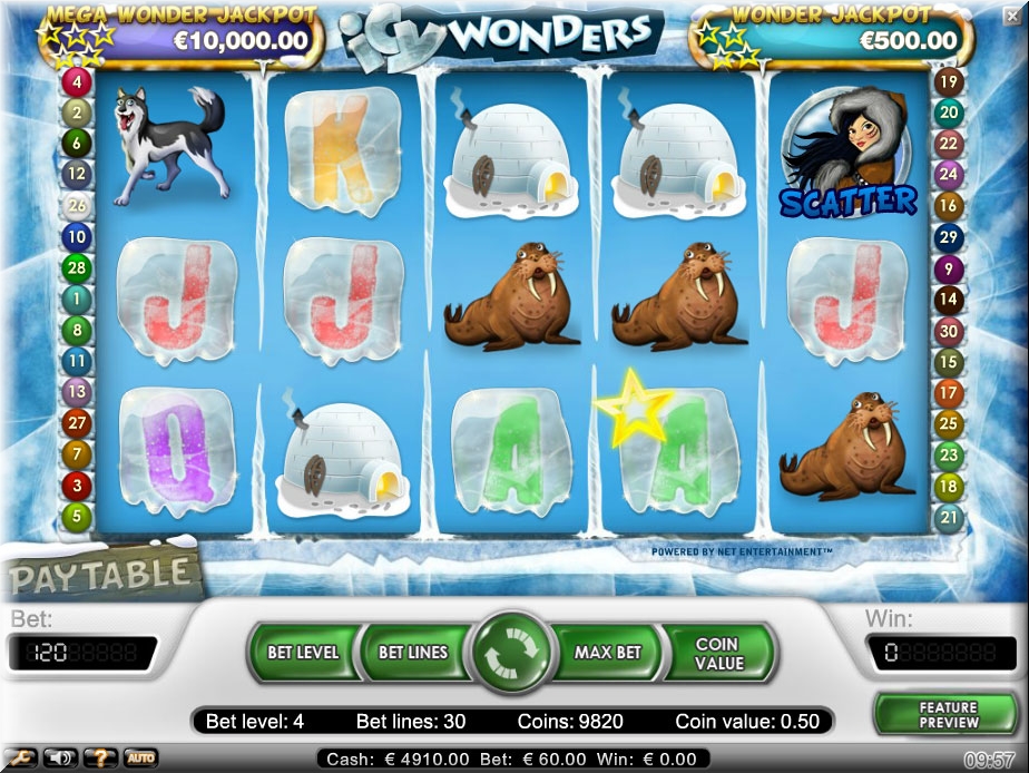 Icy Wonders 